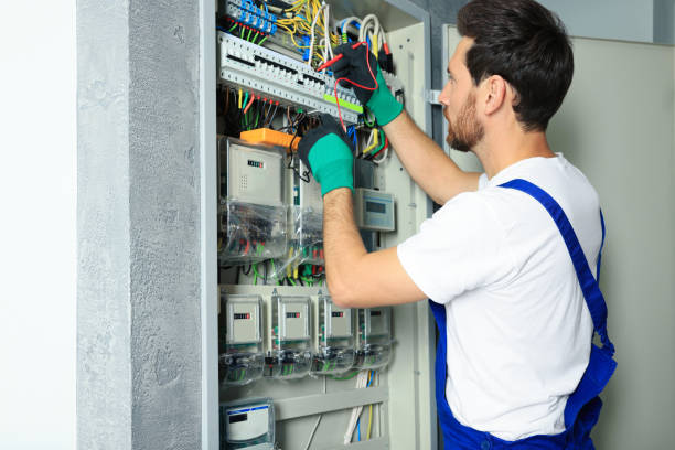 Best Electric Panel Repair  in Toccoa, GA
