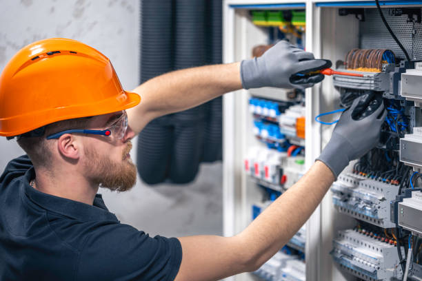 Best Electric Panel Repair  in Toccoa, GA